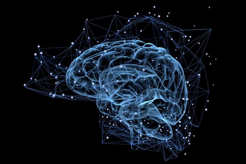 How is Neuro Linguistic Programming applied