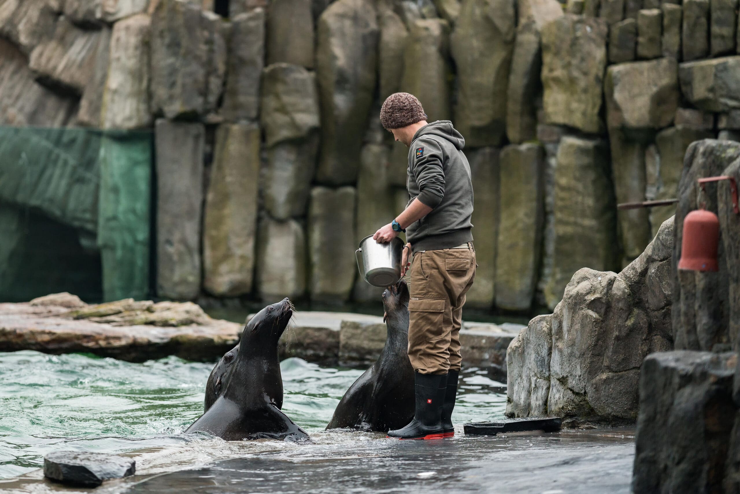 How much do Zookeepers earn How much do Zookeepers earn