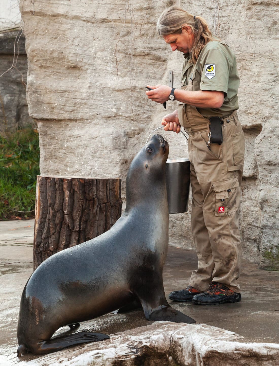 Skills needed to become a Zookeeper Skills needed to become a Zookeeper