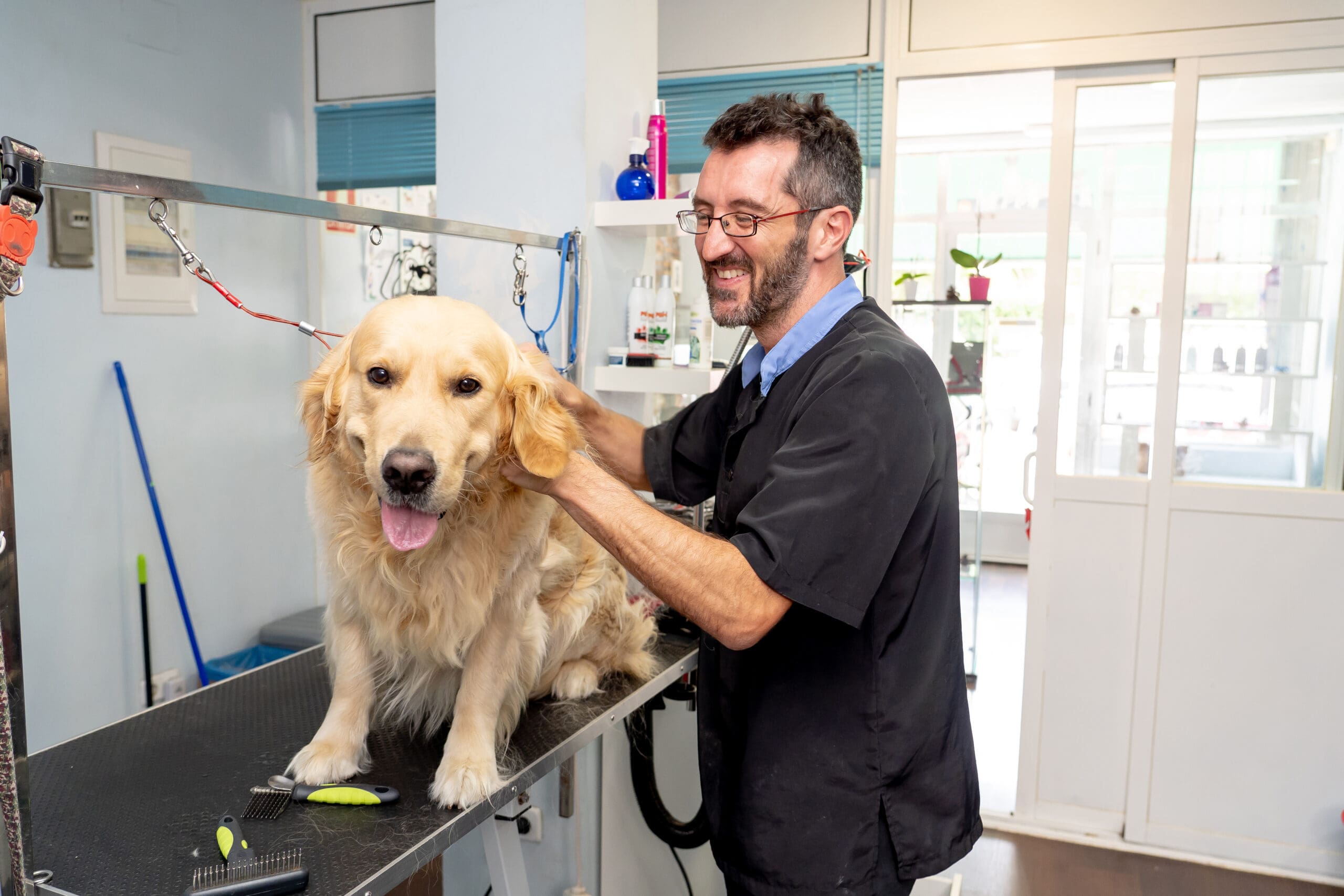 Types of roles for Dog Groomer Types of roles for Dog Groomer
