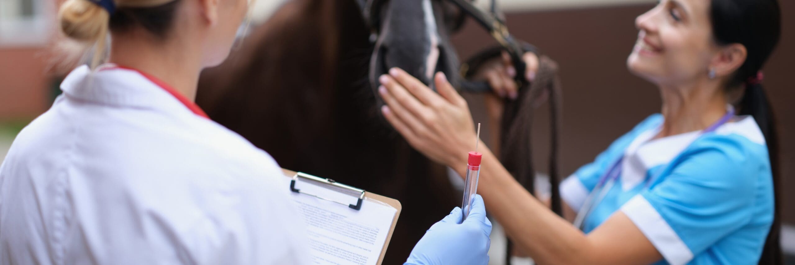 Types of roles for Veterinary Support Assistant's Types of roles for Veterinary Support Assistant's